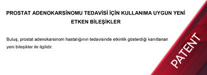 Prostat Adenokarsinomu Tedavisi İçin Kullanima Uygun Yeni Etken Bileşikler