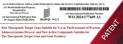 New Therapeutic Target Gene Suitable for Use in TheTreatment of Prostate Adenocarcinoma Diseases and New Active Compounds Suitable for The Therapeutic Target Gene and Gene Products
