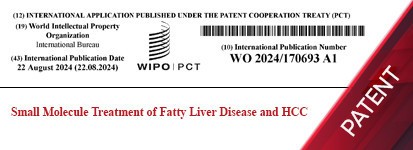 Small Molecule Treatment of Fatty Liver Disease and HCC -PCT
