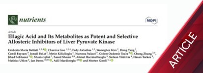 Güçlü ve Seçici Olarak Ellagik Asit ve Metabolitleri Karaciğer Piruvat Kinazının Allosterik İnhibitörleri