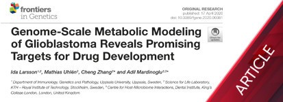Genome-Scale Metabolic Modeling of Glioblastoma Reveals Promising Targets for Drug Development